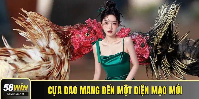 Cựa dao mang đến một diện mạo mới