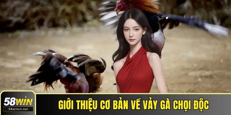 Giới thiệu cơ bản về vảy gà chọi độc