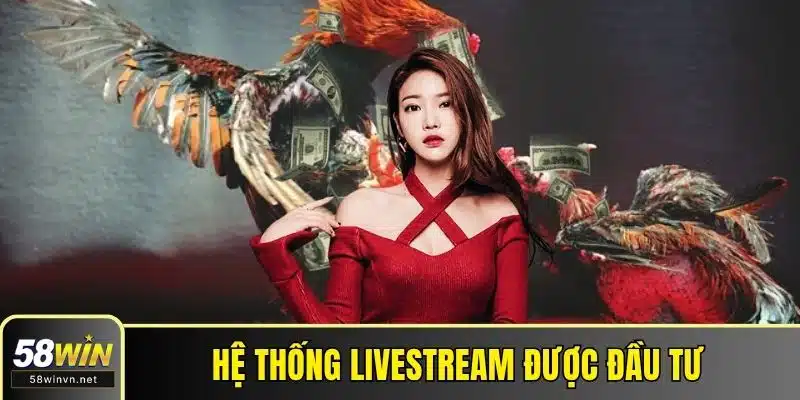Hệ thống livestream được đầu tư chuyên nghiệp