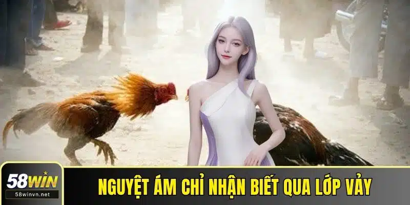 Nguyệt ám chỉ nhận biết qua lớp vảy quanh gối