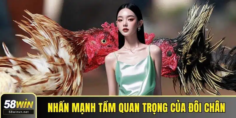 Nhấn mạnh tầm quan trọng của đôi chân