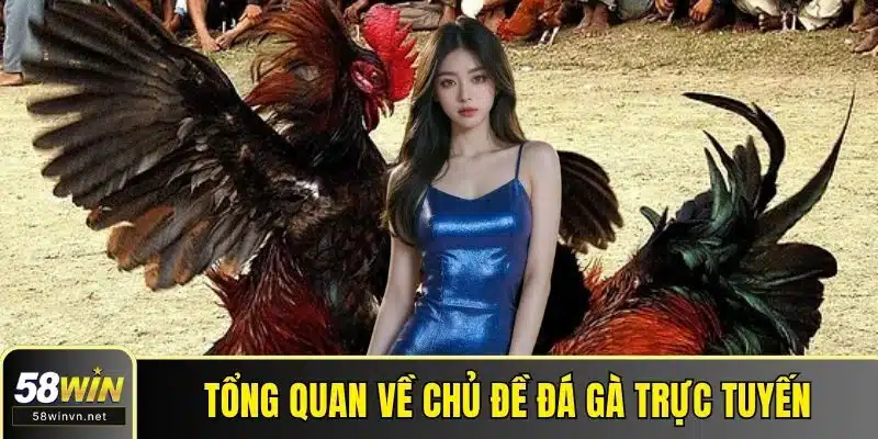 Tổng quan về chủ đề đá gà trực tuyến