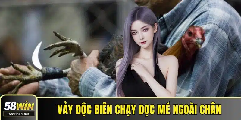 Vảy độc biên chạy dọc mé ngoài chân